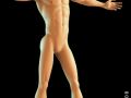 basic male figure rigged 3D 모델