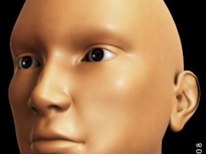 basic male figure rigged 3D 모델