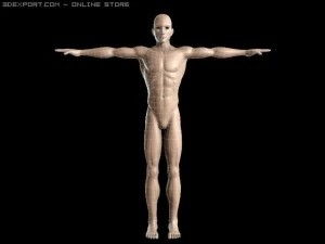 basic male figure rigged 3D Model