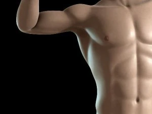 basic male figure rigged 3D Model