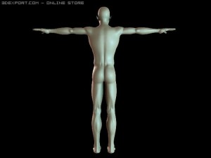 basic male figure rigged 3D 모델