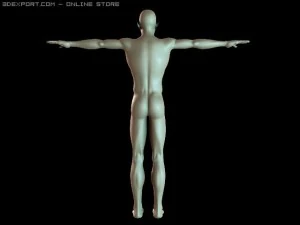 basic male figure rigged 3D Model