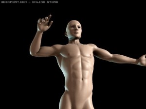 basic male figure rigged 3D 모델