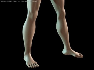 basic male figure rigged 3D 모델