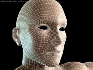 basic male figure rigged 3D 모델
