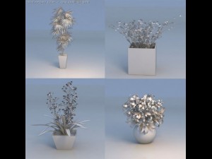 flowers plant Modelo 3D