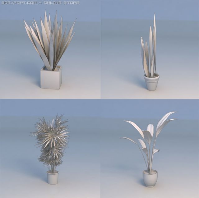 flowers plant 3D Model .c4d .max .obj .3ds .fbx .stl .blend 