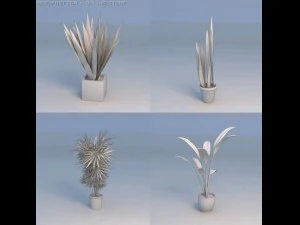 tanaman bunga Model 3D