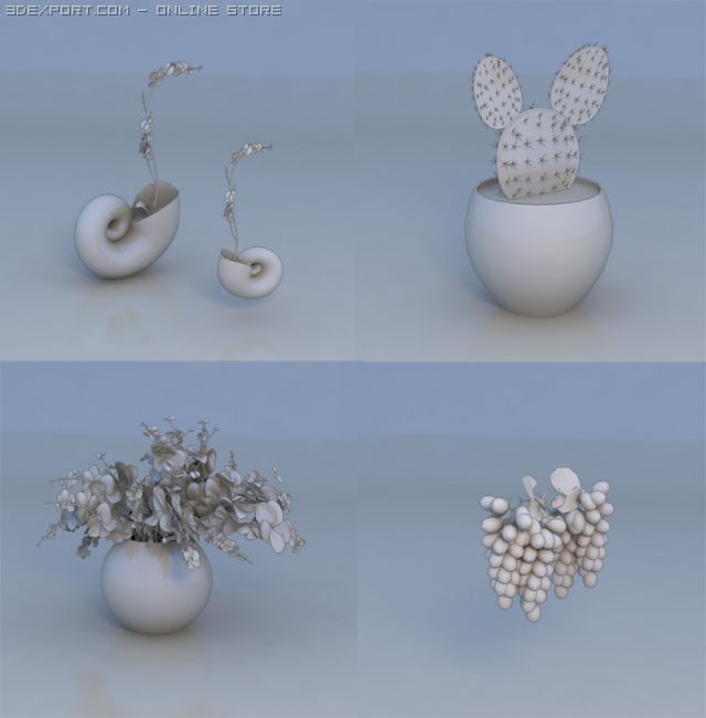 flower fruit plant Model 3D .c4d .max .obj .3ds .fbx .stl .blend 