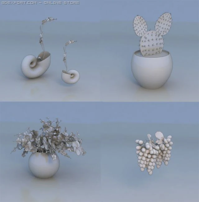 꽃 과일 식물 3D 모델 .c4d .max .obj .3ds .fbx .stl .blend 