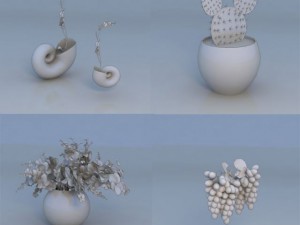 flower fruit plant 3Dモデル