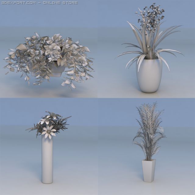flowers plant 3D Model .c4d .max .obj .3ds .fbx .stl .blend 