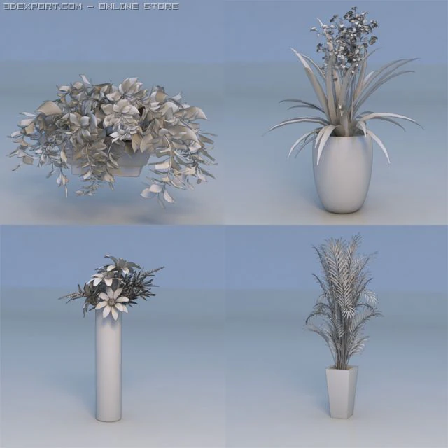flowers plant 3D Model .c4d .max .obj .3ds .fbx .stl .blend 