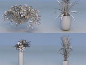 flowers plant Modelo 3D