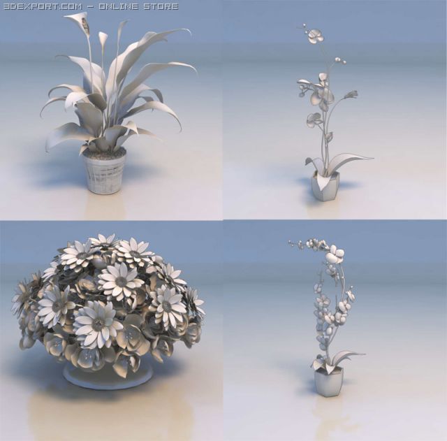flowers plant 3D Model .c4d .max .obj .3ds .fbx .stl .blend 