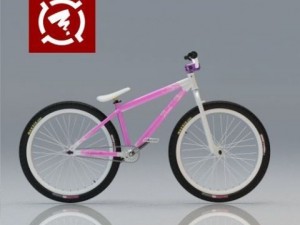 zigzag park mtb complete 3Dモデル
