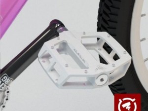 zigzag park mtb complete 3D 模型