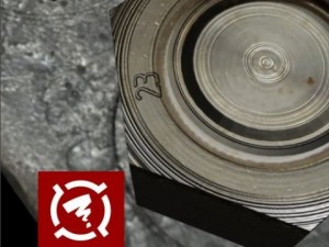 lowpoly nut model Modello 3D