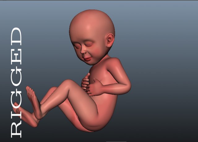 baby model 3D-Modell .c4d .max .obj .3ds .fbx .stl .blend 