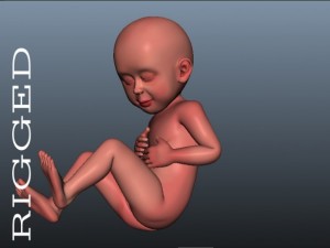 baby model Modello 3D