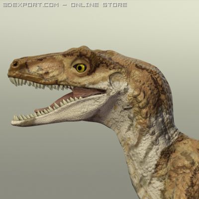 velociraptor 3D 模型 .c4d .max .obj .3ds .fbx .stl .blend 