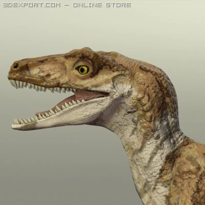 velociraptor 3D Model .c4d .max .obj .3ds .fbx .stl .blend 