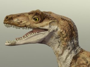 velociraptor 3D Model