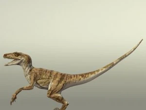 velociraptor 3D Model