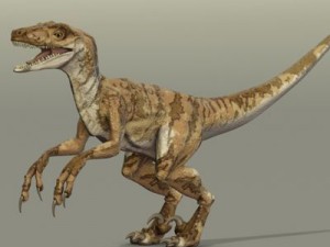 velociraptor 3D 模型