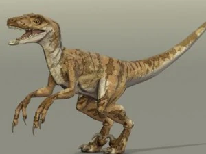 velociraptor 3D Model