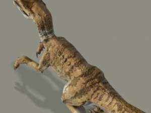 velociraptor 3D 模型