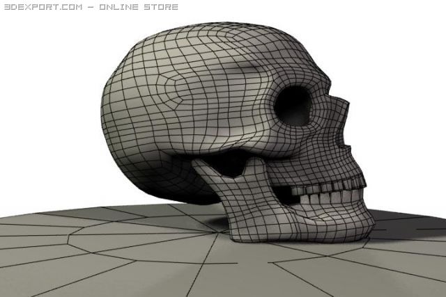 human skull 3D 模型 .c4d .max .obj .3ds .fbx .stl .blend 