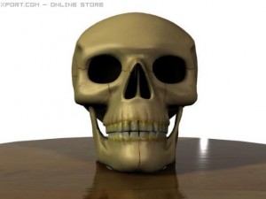 human skull 3D 模型