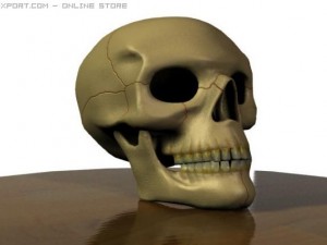 human skull 3D 模型