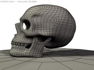 human skull 3D 模型