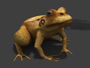 frogtextured 3D Model