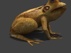 frogtextured Modello 3D