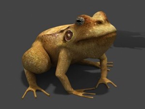 frogtextured Modello 3D