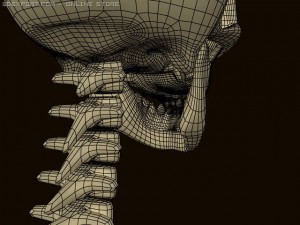 skeleton 3D Model