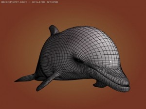 dolphin 3Dモデル