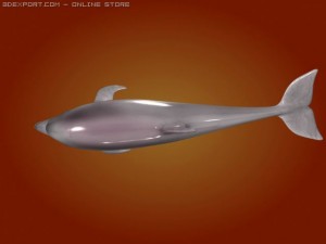 dolphin 3Dモデル