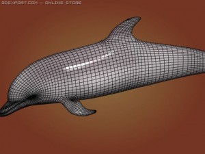 dolphin 3Dモデル