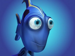 bluefish 3D-Modell
