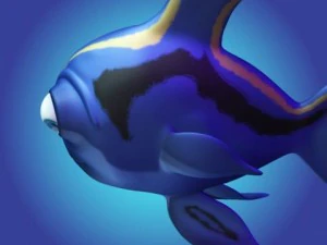 bluefish 3D Model