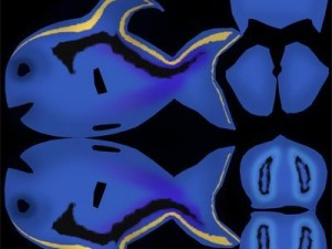 bluefish 3D-Modell