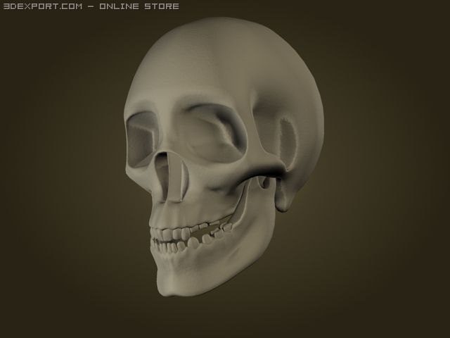 skull Modelo 3D .c4d .max .obj .3ds .fbx .stl .blend 