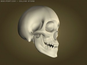 skull Modelo 3D
