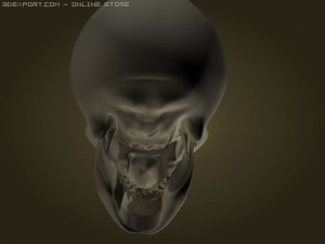 skull Modelo 3D