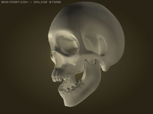 skull Modelo 3D