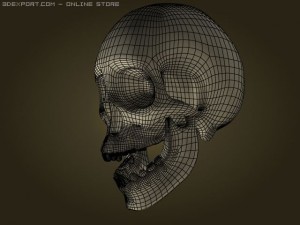 skull Modelo 3D